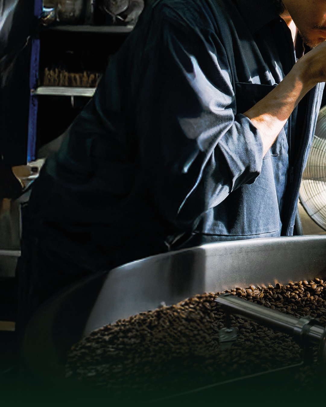 Inside Kimor’s roastery